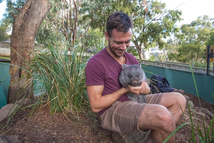 3D Tasmanian Highlights: Hobart, Port Arthur & Bruny Island - Port Arthur on Day 3: how to use your 4 hours well