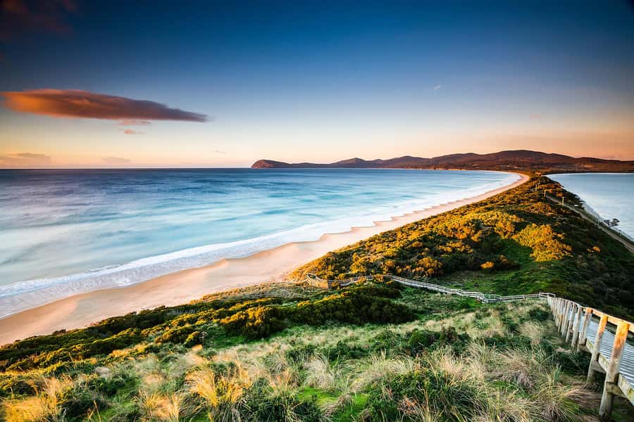 3D Tasmanian Highlights: Hobart, Port Arthur & Bruny Island - Day 1 in Hobart: Mt Wellington, Bonorong, Richmond, and Salamanca