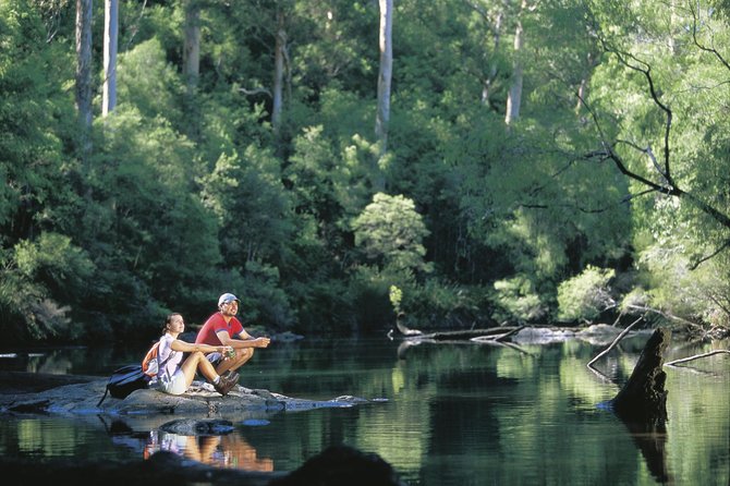 4 Day Albany Margaret River, Valley of the Giants Tour from Perth - Day 3: Beedelup Falls, Karri Trees, Cape Leeuwin, Mammoth Cave, and Busselton Jetty Views