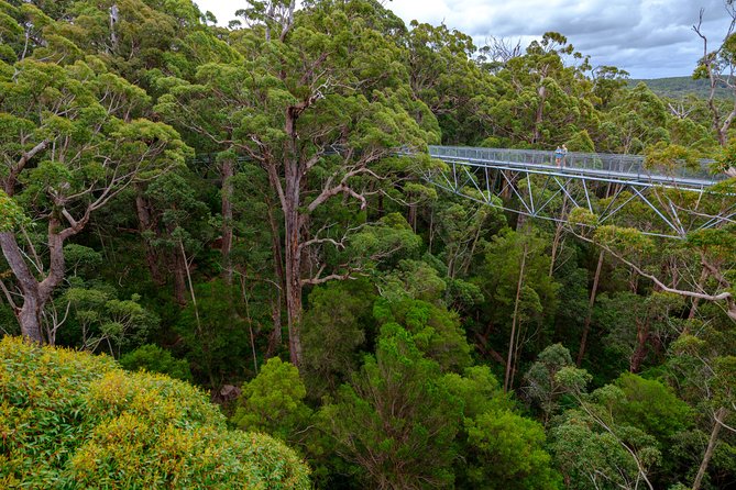 4 Day Albany Margaret River, Valley of the Giants Tour from Perth - Weather, Wind, and How to Not Let It Ruin Your Day