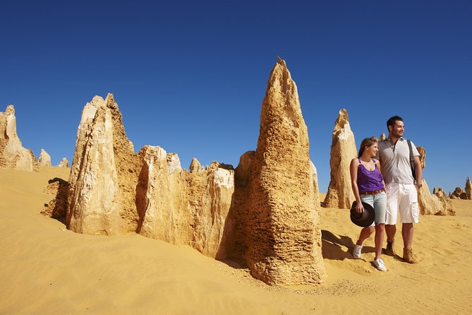 4-Day Monkey Mia Dolphins Pink Lake Pinnacles Comfort-Level Tour - Day 4: Geraldton memorials, Jurien Bay jetty, Cervantes lobster, then the Pinnacles