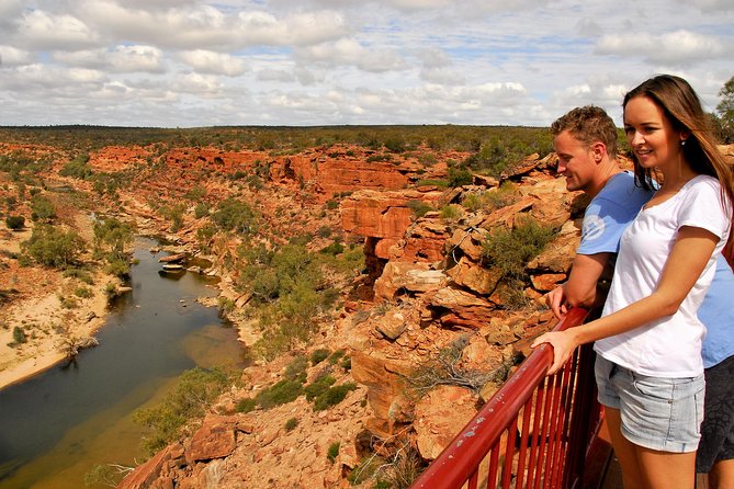 4-Day Monkey Mia Dolphins Pink Lake Pinnacles Comfort-Level Tour - Who this tour fits best