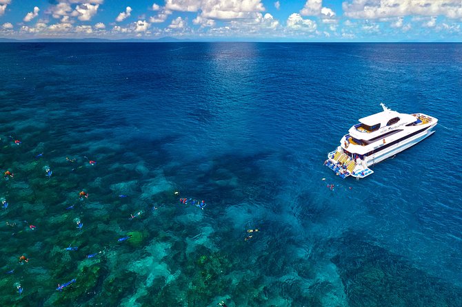 4-Day PADI Open Water Dive Course - Learn to Dive on the Great Barrier Reef - Day 3–4 on the Evolution catamaran: what’s really happening on the outer reef