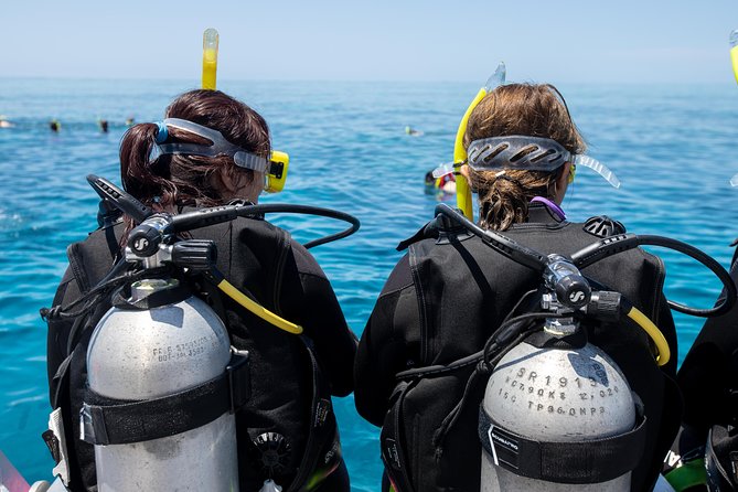 4-Day PADI Open Water Dive Course - Learn to Dive on the Great Barrier Reef - Instructor energy matters: small-group coaching and Frankies approach