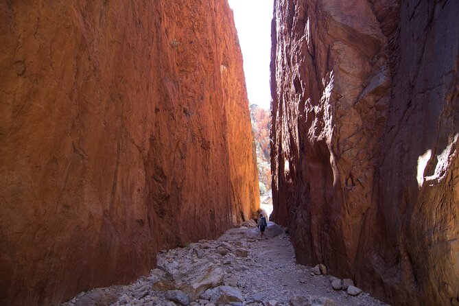 4 Day Uluru Kata Tjuta Kings Canyon West MacDonnell ex.Ayers Rock - Day 4: Ormiston Gorge, Ellery Creek Big Hole, Standley Chasm, Simpsons Gap