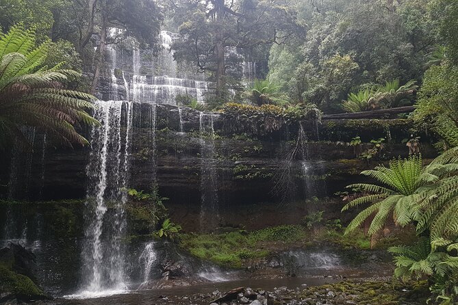 4 Day Wild Tasmania Tour / Wildlife, Nature, Hiking / Inc. Accom - Where you sleep and how meals work
