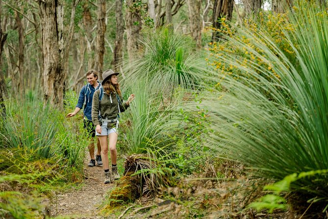 4 Days Private Walking Tour in South Australia - Day 4: Newland Head Conservation Park cliffs, Parsons Beach, and Waitpinga Beach