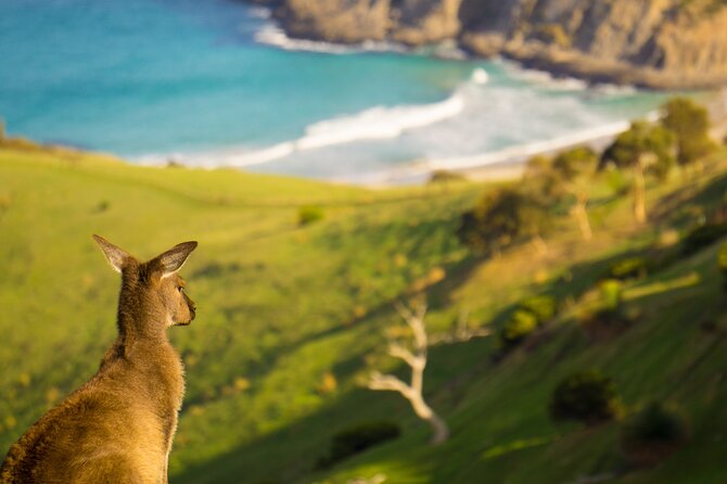 4 Days Private Walking Tour in South Australia - Guides, small group size, and what “private” changes