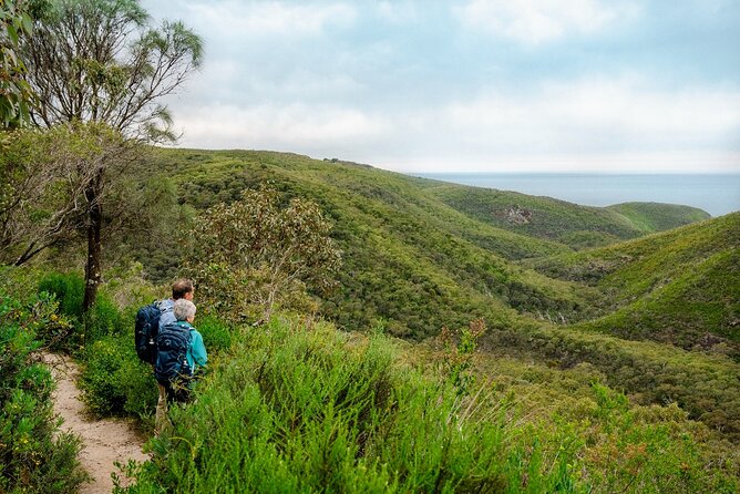 4 Days Private Walking Tour in South Australia - Gear and pacing: what you carry on a pack free walk