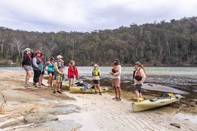 4 Hour Aboriginal Culture Tour Kayaking Pambula River - Key highlights you’ll notice fast