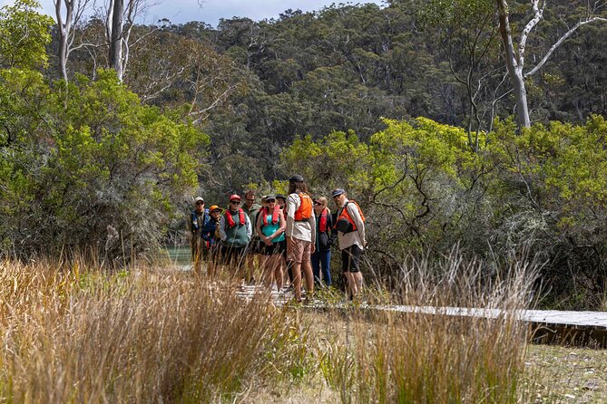 4 Hour Aboriginal Culture Tour Kayaking Pambula River - Severs Beach morning tea: a comfortable pause with local flavor