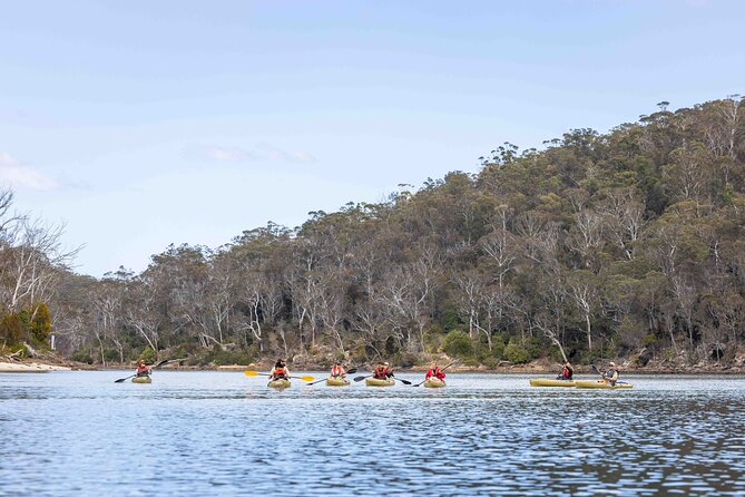 4 Hour Aboriginal Culture Tour Kayaking Pambula River - Who should book this (and who might skip it)