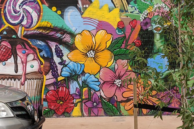 4-Hour Outback Gourmet Food & Aboriginal Art Tour - Darwin Street Art on the Move: Laneway Murals Plus Augmented Reality