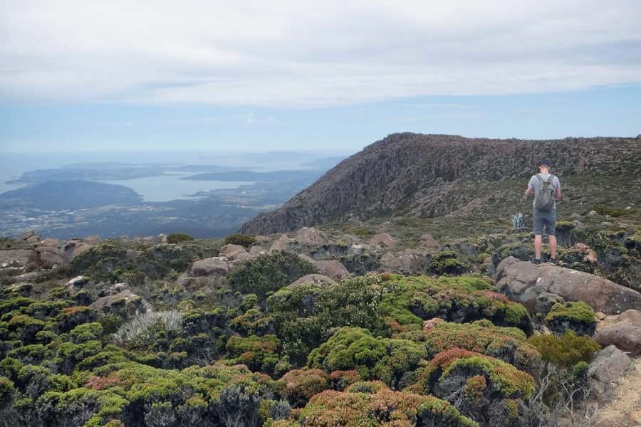 48-Hour Hobart City Loop Tour and Mt Wellington - Kunanyi/Mt Wellington Explorer Pass: what the summit trip really gives you