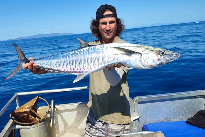 4H Snorkeling and Fishing Cruise on Magnetic Island - The boat commentary: local secrets, real context, and sightings