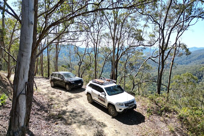 4WD Guided Day Trip In D'Aguilar National Park - Price and vehicle reality: BYO 4WD for a low-cost group price