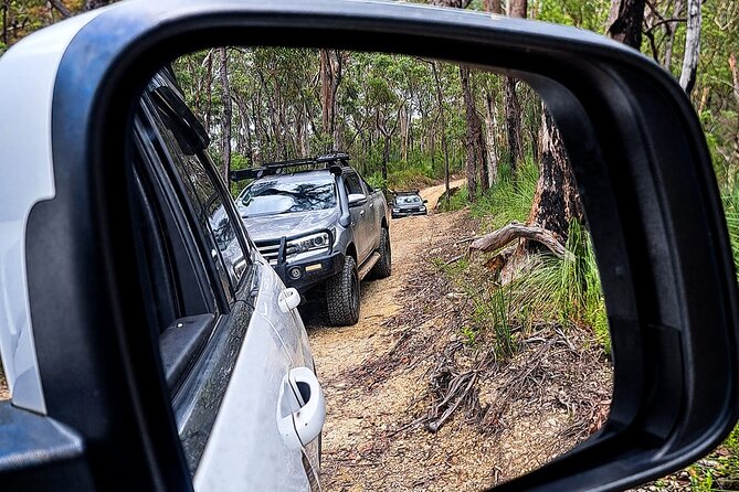 4WD Guided Day Trip In D'Aguilar National Park - Stop 1: Kluver’s Lookout for quick tree-line views