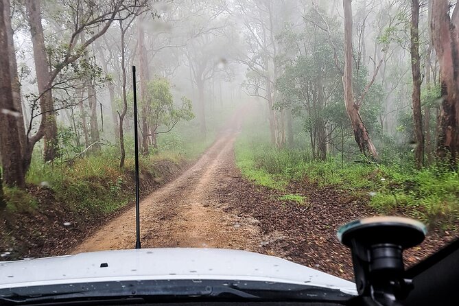 4WD Guided Day Trip In D'Aguilar National Park - Somerset Lookout: the escarpment view over Somerset Dam