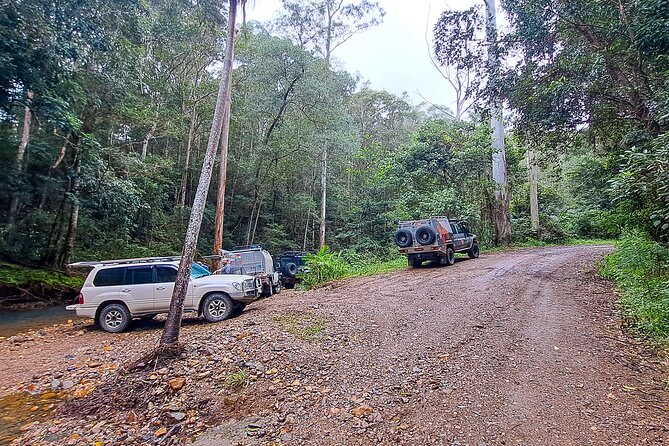 4WD Guided Day Trip In D'Aguilar National Park - Rocky Hole: your final stop before wrapping up