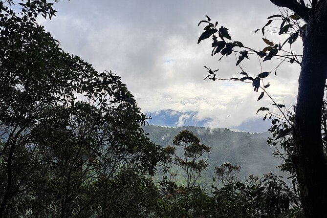 4WD Guided Day Trip In D'Aguilar National Park - What you actually get: local guide, water, and optional drone footage