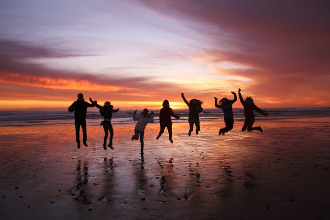 5-Day Best of Tasmania Tour from Hobart - Hostels vs motels: how to choose the right comfort level
