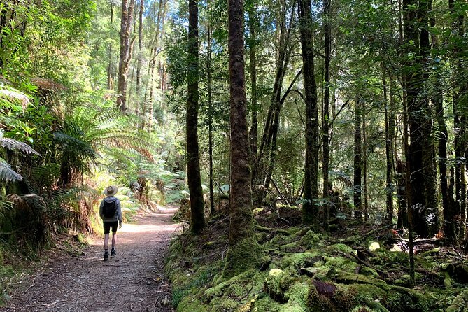 5-Day Best of Tasmania Tour from Hobart - Walking levels and packing: what your body needs for Cradle and Freycinet