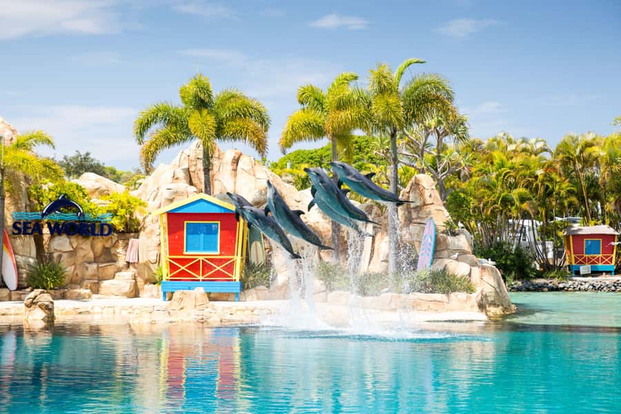 5-Day Theme Park Pass & Sea World Cruise Combo Ticket - Key highlights you’ll actually feel