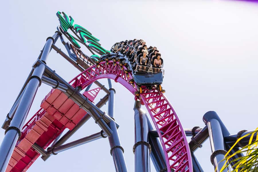 5-Day Theme Park Pass & Sea World Cruise Combo Ticket - A Gold Coast combo that links parks with a ferry day