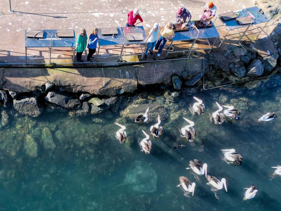 5-hour Eden Small Group Tour: Beaches, Lookouts and More - Beowa National Park: why the day uses short nature time well