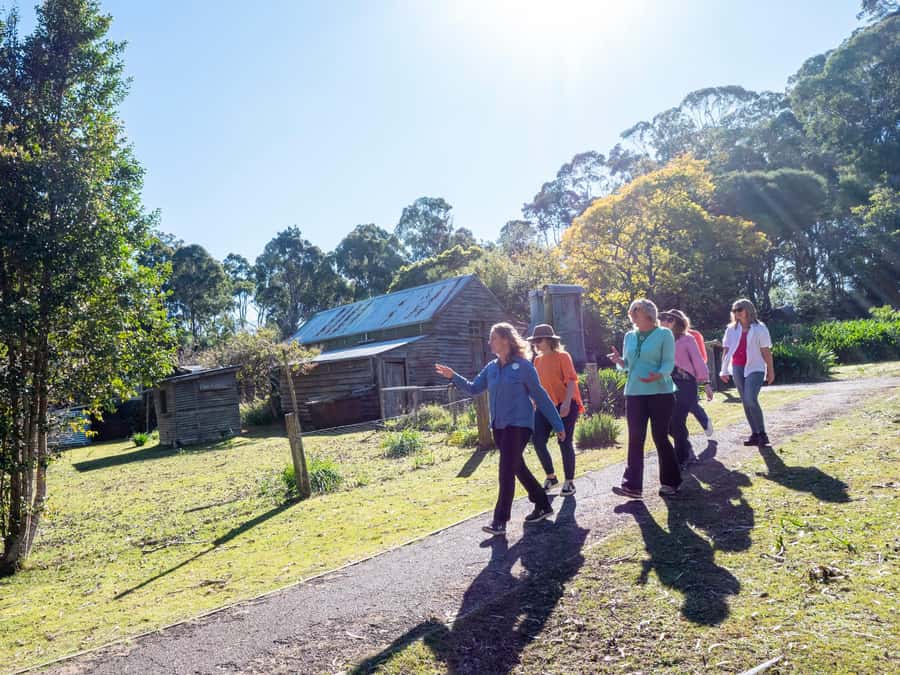 5-hour Eden Small Group Tour: Beaches, Lookouts and More - Pinnacles Lookout: the short 500m/1km geology walk