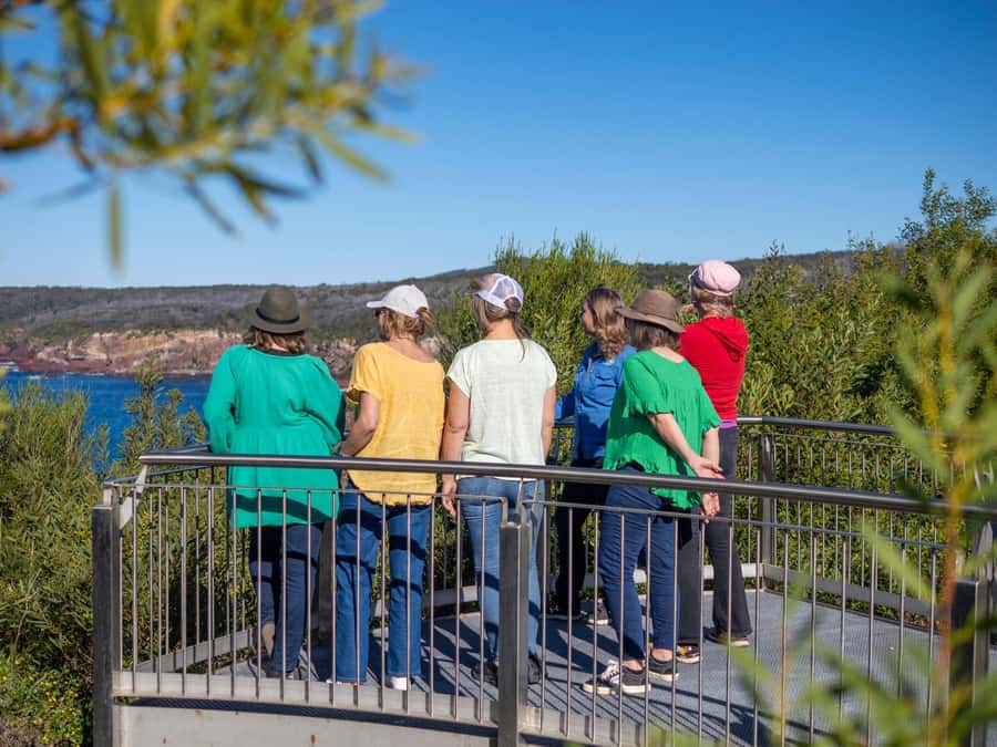 5-hour Eden Small Group Tour: Beaches, Lookouts and More - Boyds Tower and the gentler track around it