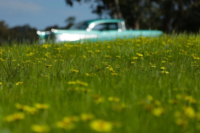 '56 Chevrolet 6-hr Yarra Valley Classic Car Private Tour (4 ppl) - Price and value: $697 per group for a private day in style