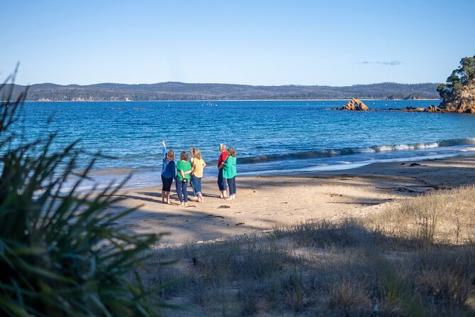 5hr Eden Tour in Nature; Beach, Lookout & National Park - Ben Boyd Tower: a light tower story with a boardwalk walk