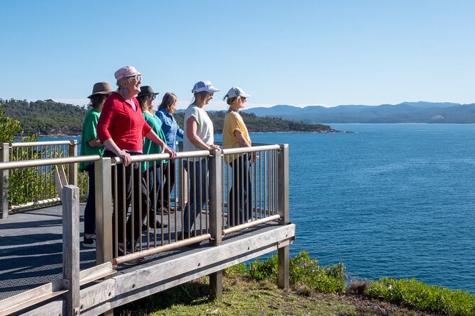5hr Eden Tour in Nature; Beach, Lookout & National Park - Guide-led spotting: wildlife moments that feel earned