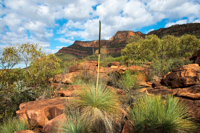 6-Day Eyre Peninsula & Flinders Ranges Adventure Tour - The Long Drive to the Flinders: Port Augusta and Silo Art