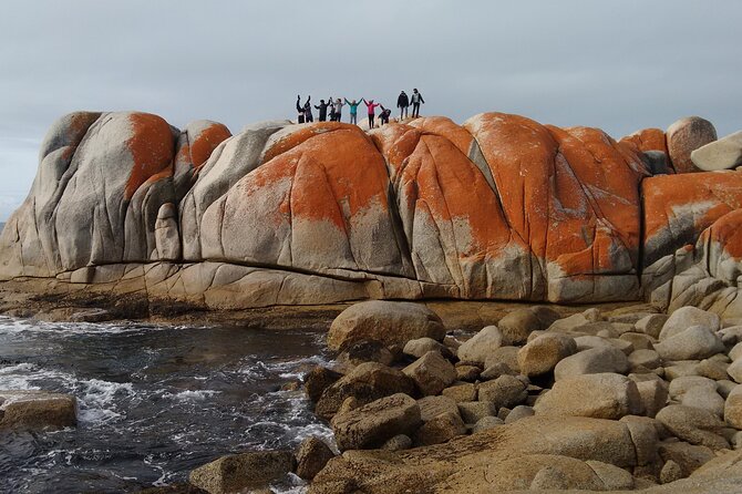6-Day Tasmanian Explorer Adventure Tour from Hobart - Day 1: Mount Field waterfalls, Lake St Clair, and the drive to Strahan