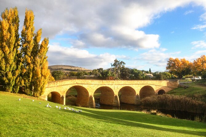 6-Days Discovery Tour of Tasmania - Comfort Style - Day 3 toward Cradle Mountain: alpine scenery and mural-town stops