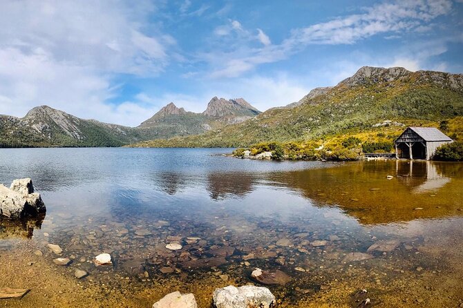 6-Days Discovery Tour of Tasmania - Comfort Style - Day 4 to Bay of Fires: wallaby spotting and orange-rock beach time