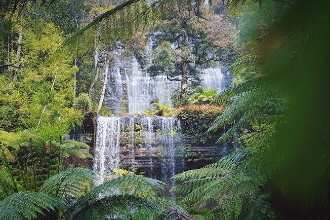 6-Days Discovery Tour of Tasmania - Comfort Style - Comfort style value: what your money actually covers