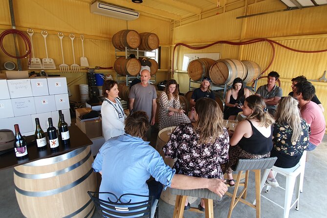 7- 8 Hour StelaVino Guided Wine Tours From Hobart, Tasmania - Which wine regions you’ll cover around Hobart (and why that matters)