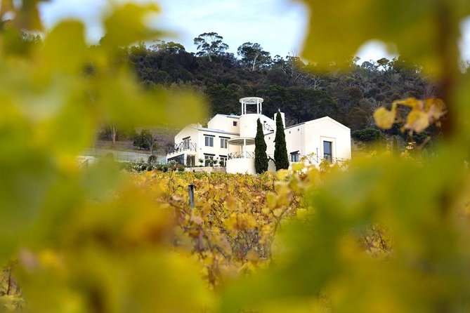 7- 8 Hour StelaVino Guided Wine Tours From Hobart, Tasmania - Meet Steliano Cusmiani: what makes the tastings click