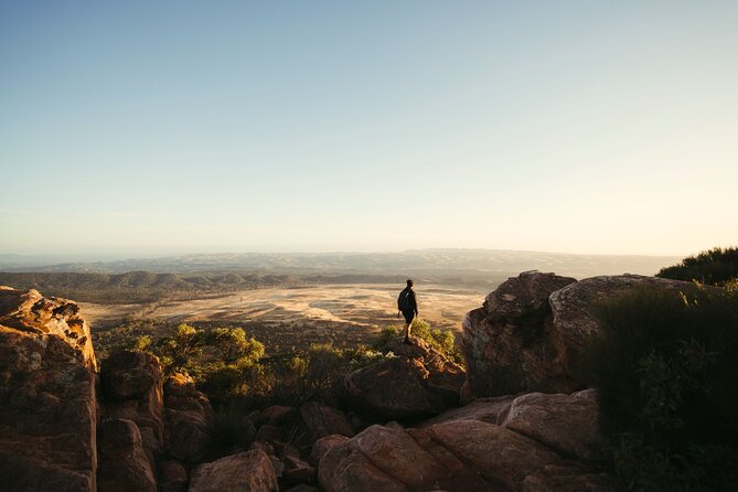 7 Day Adelaide to Uluru Adventure and Cultural Tour - First light from Adelaide: what this tour feels like