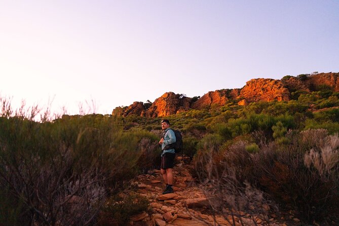 7 Day Adelaide to Uluru Adventure and Cultural Tour - Dingo Fence to Kings Canyon: road miles that pay off