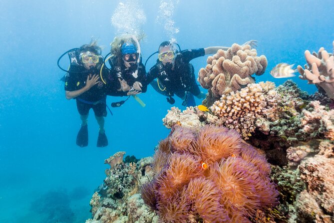 7 Day Brisbane to Cairns Boutique Whitsundays Great Barrier Reef - Key highlights you’ll actually feel