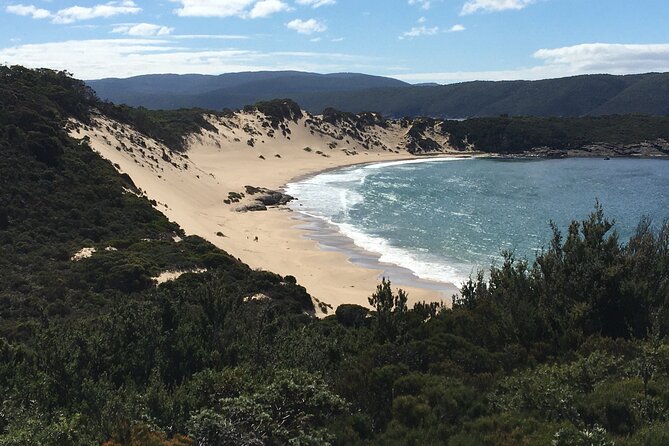 7-Day Super Value Tour of Tasmania: Explore Tasmania's West and East Coasts - Day 4: Cataract Gorge Reserve, St Helens Lunch Stop, and East Coast Swim Town Time
