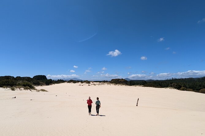 7-Day Super Value Tour of Tasmania: Explore Tasmania's West and East Coasts - Day 5: Freycinet National Park Early Access, Wineglass Bay, and Cape Tourville