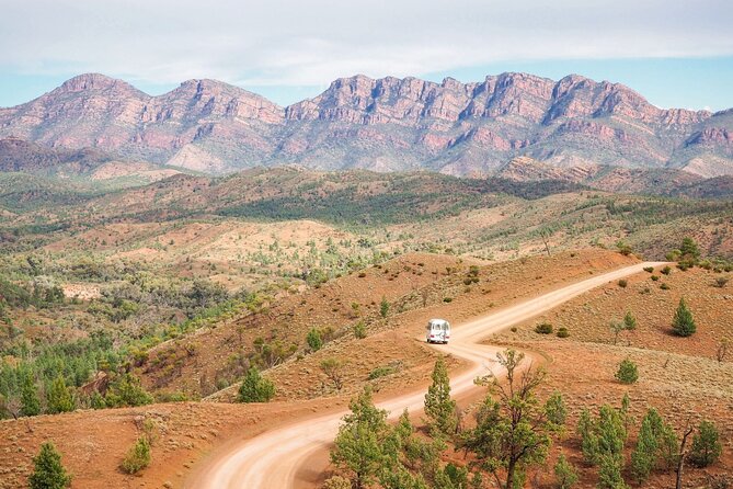 7 Day Uluru to Adelaide Cultural and Adventure Tour - Price and value: how $964.69 stacks up for 7 days