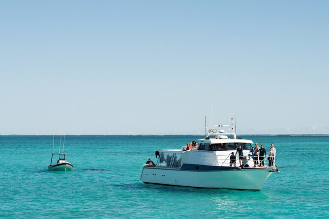 7 Hours Off Peak Whale Shark and Ningaloo Reef Tour in Exmouth - What it feels like on the water: gear, wetsuits, and staff help