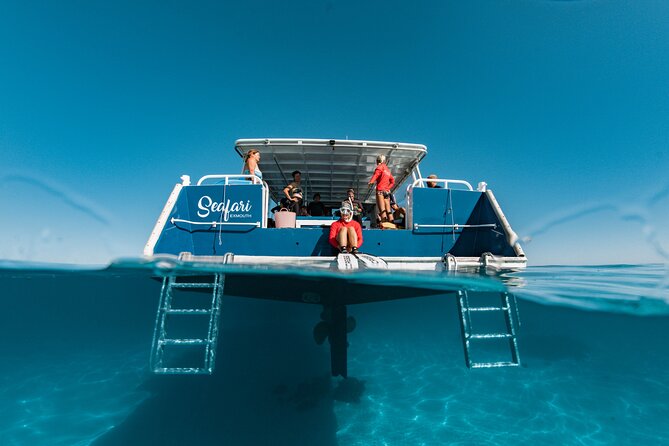 7 Hours Off Peak Whale Shark and Ningaloo Reef Tour in Exmouth - Weather and wildlife reality: the smart way to book