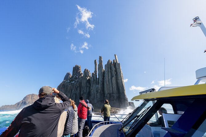 90 minute Cape Raoul Cruise and Port Arthur Historic Site entry - Wildlife moments: seals, dolphins, and the joy of quiet surprises
